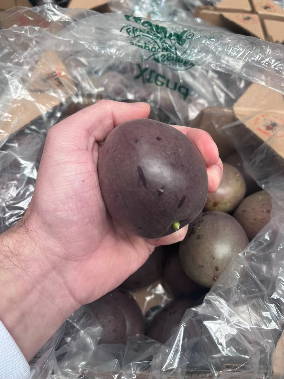 Fruit de la passion — sourcing en cours