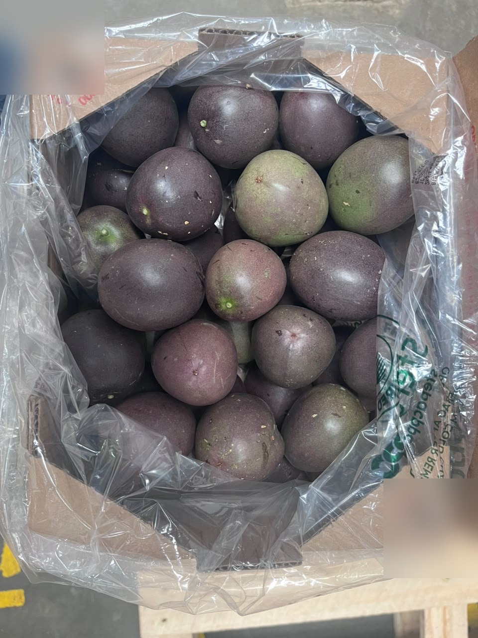Fruit de la passion — sourcing en cours