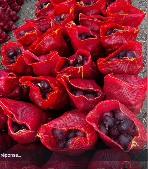 Oignons rouges conditionnés en filets