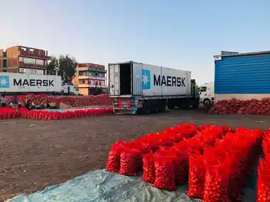 Chargement conteneur reefer au départ